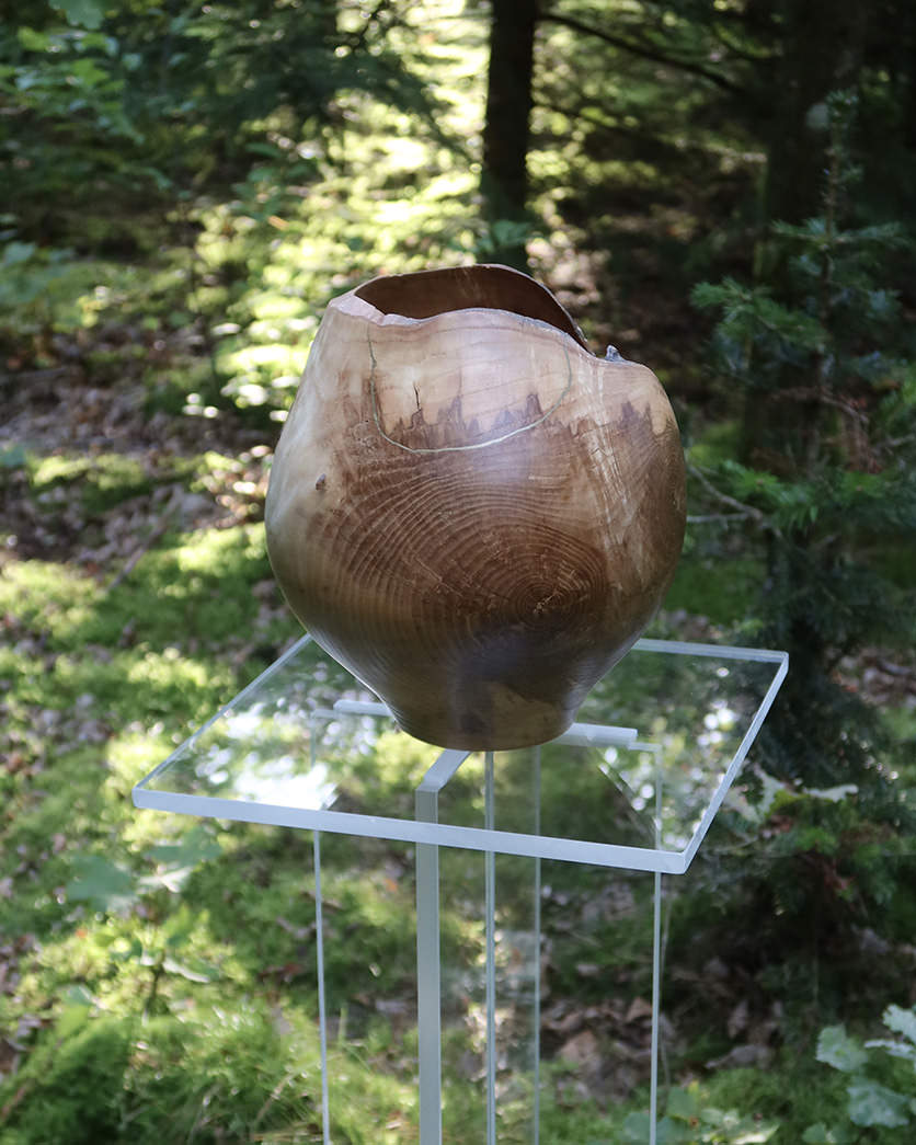 #AS46 Vase i ask