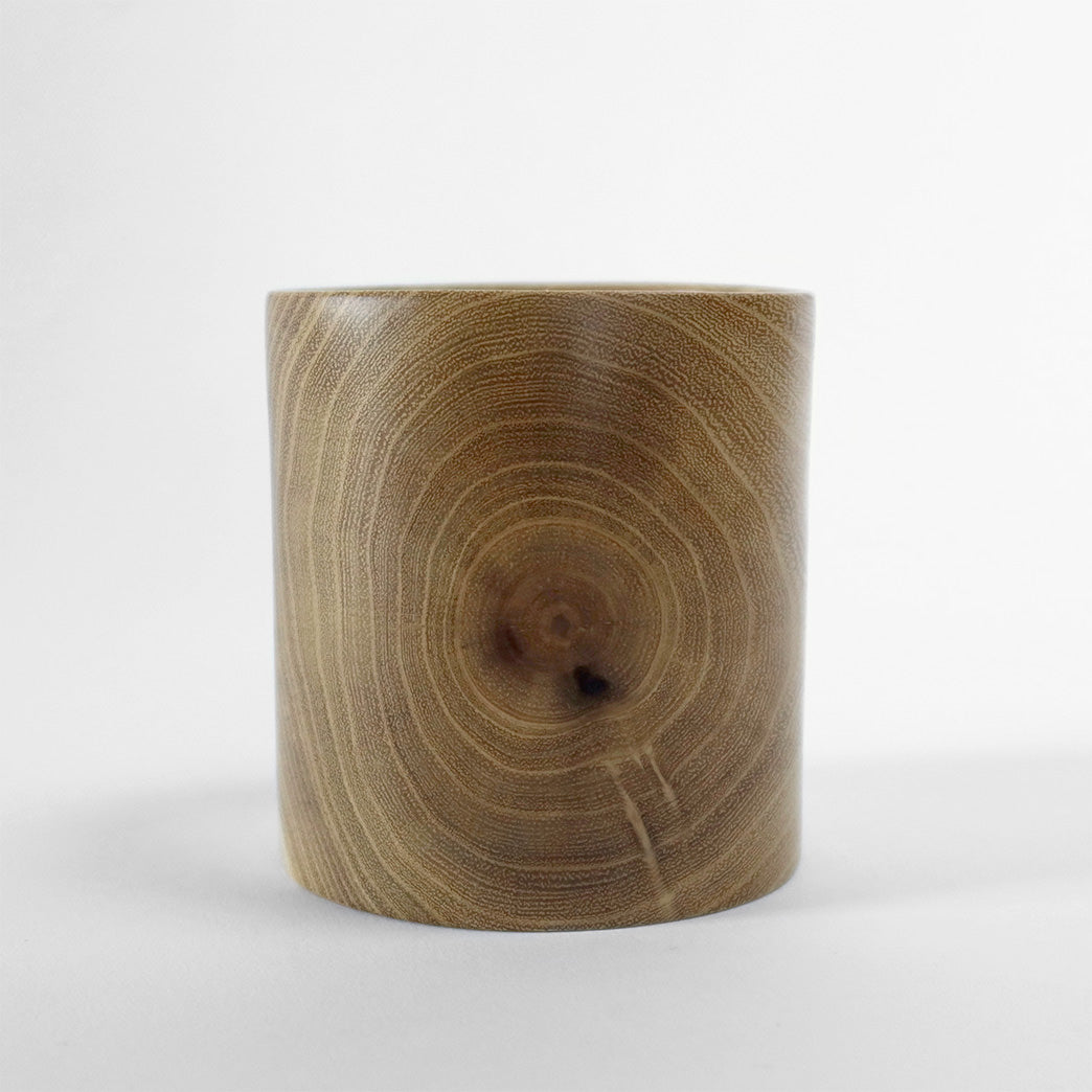 Pencil holder in black locust