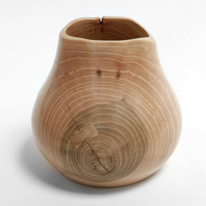 Elm vase med sommerfugle-indlæg