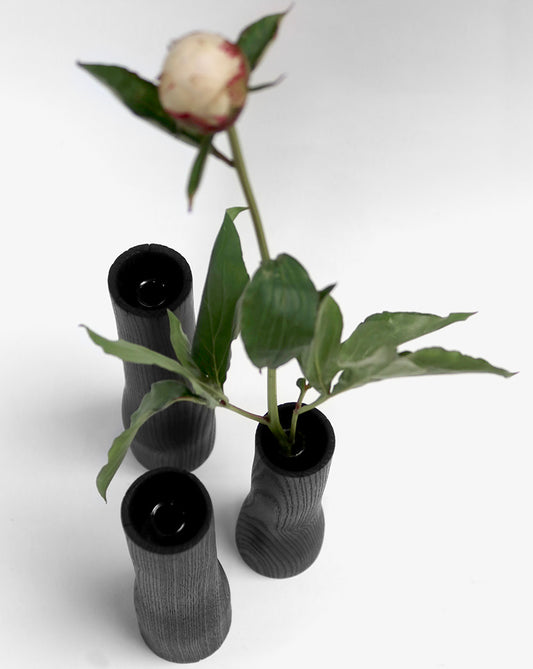 Brændt vase med reagensglas